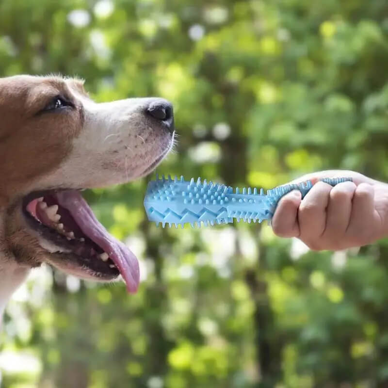 Durable Dog Toothbrush Chew Stick