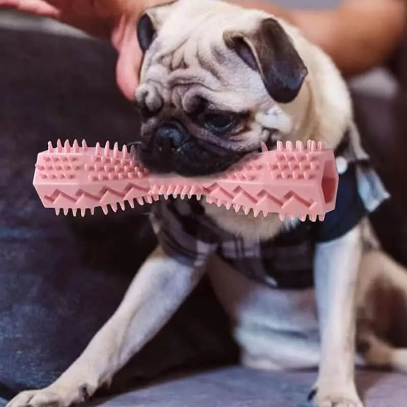 Durable Dog Toothbrush Chew Stick