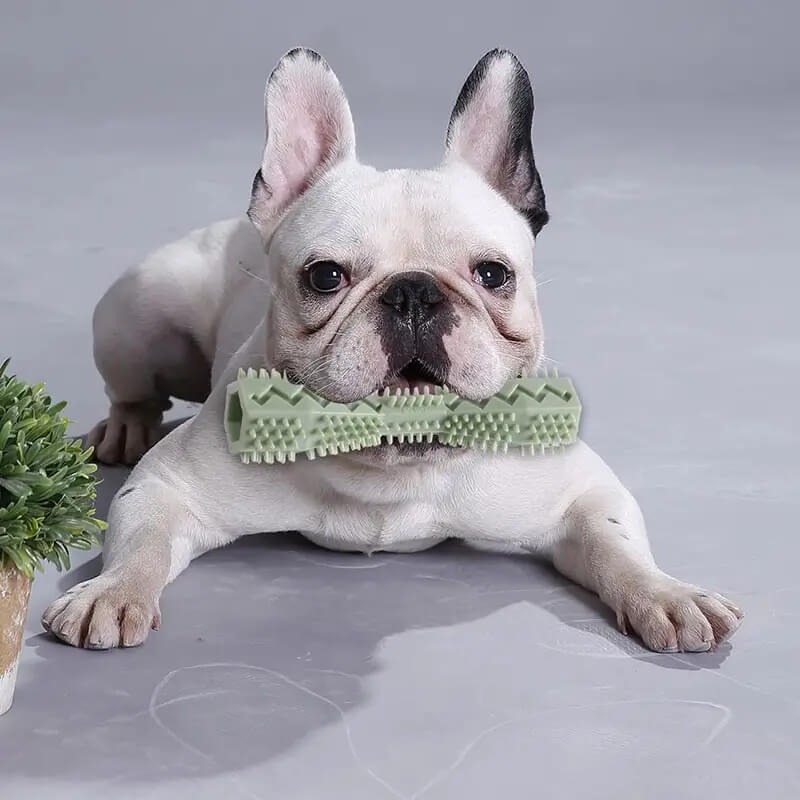 Durable Dog Toothbrush Chew Stick