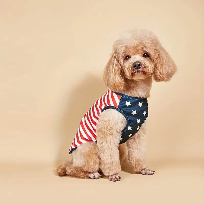 Independence Day Printed Stars and Stripes Pet Vest