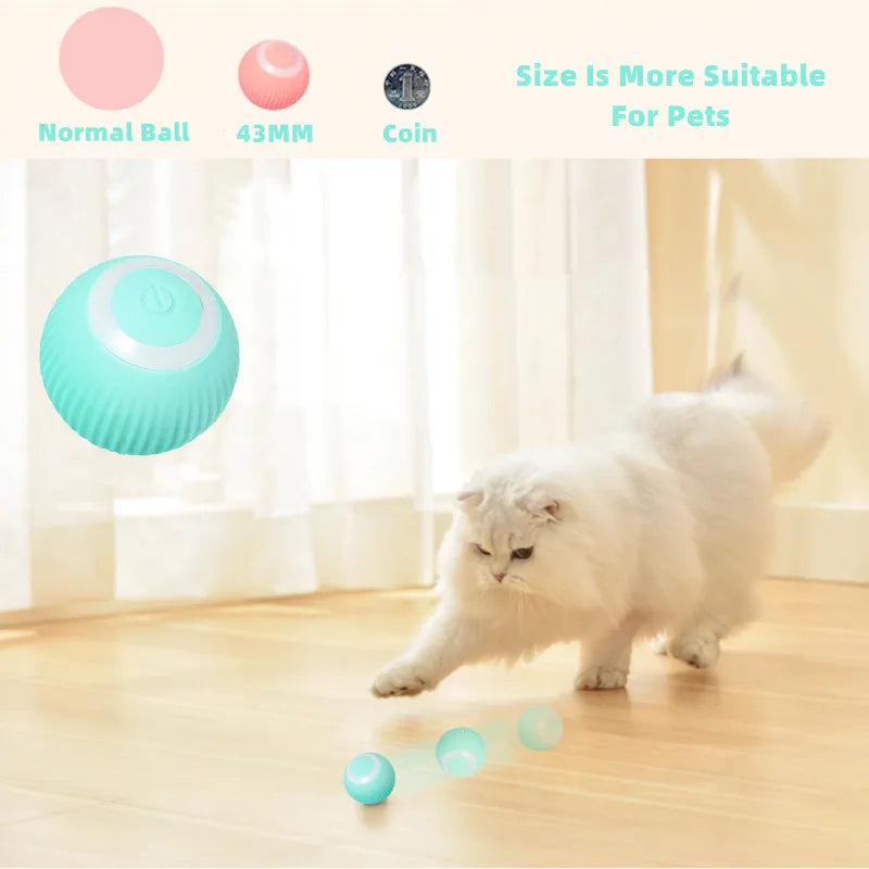 Cat Rolling Balls Toy Track