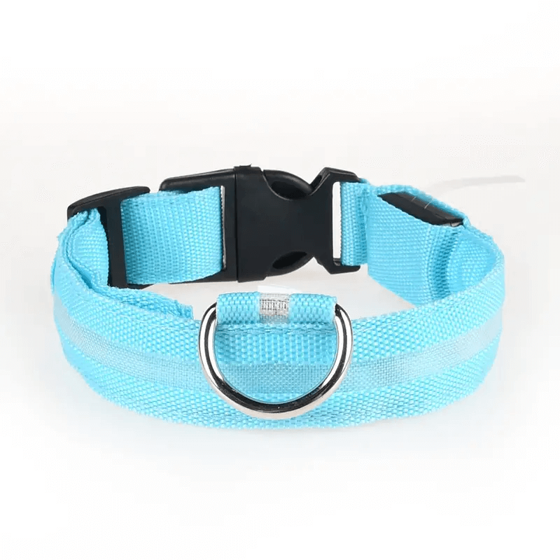 led dog collar