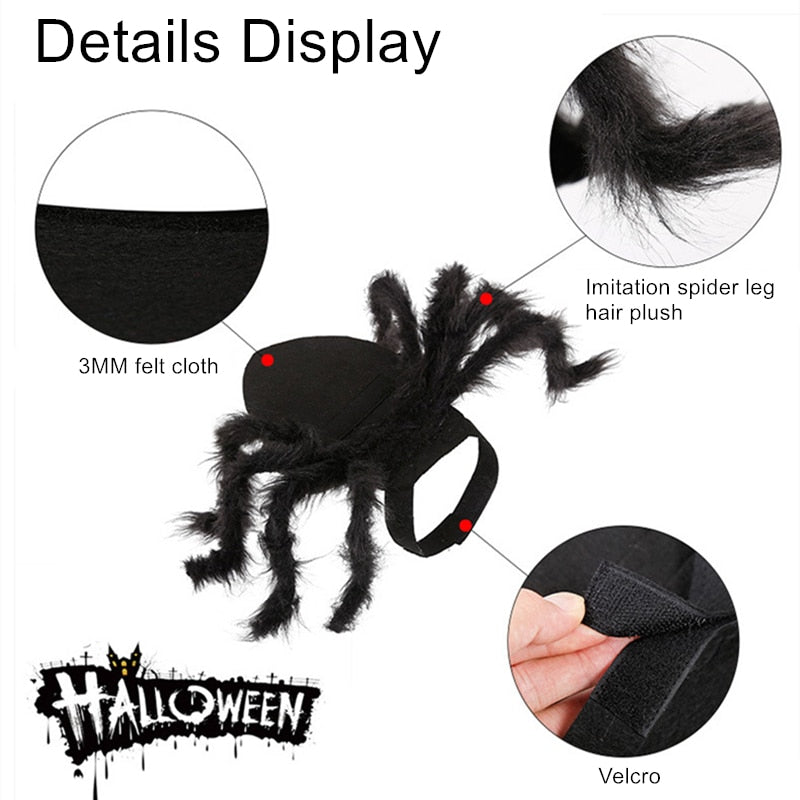 Halloween Cosplay Spider Costume for Pet