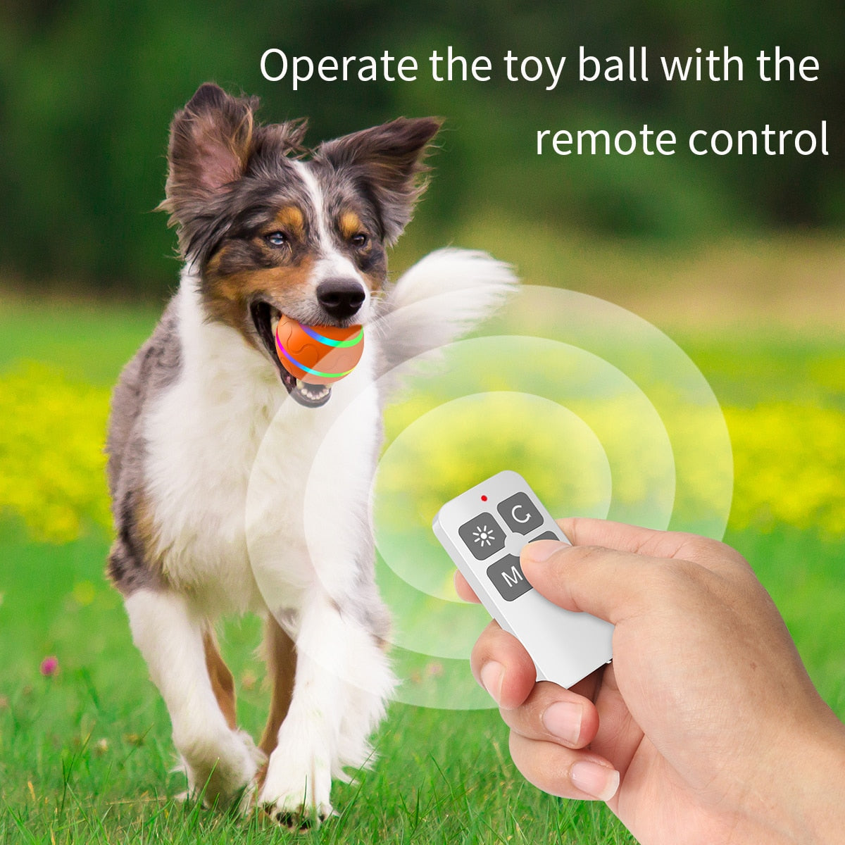 Smart Flash Rotating Jumping Rolling Pet Toy Ball