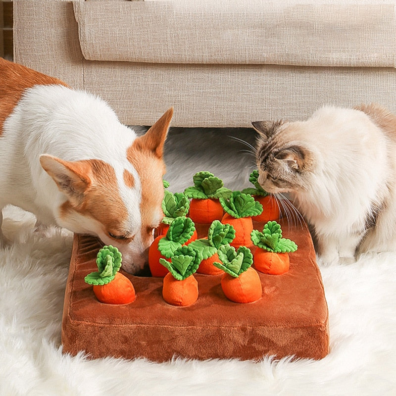 Carrot Farm Dog Chew Sniff Toys