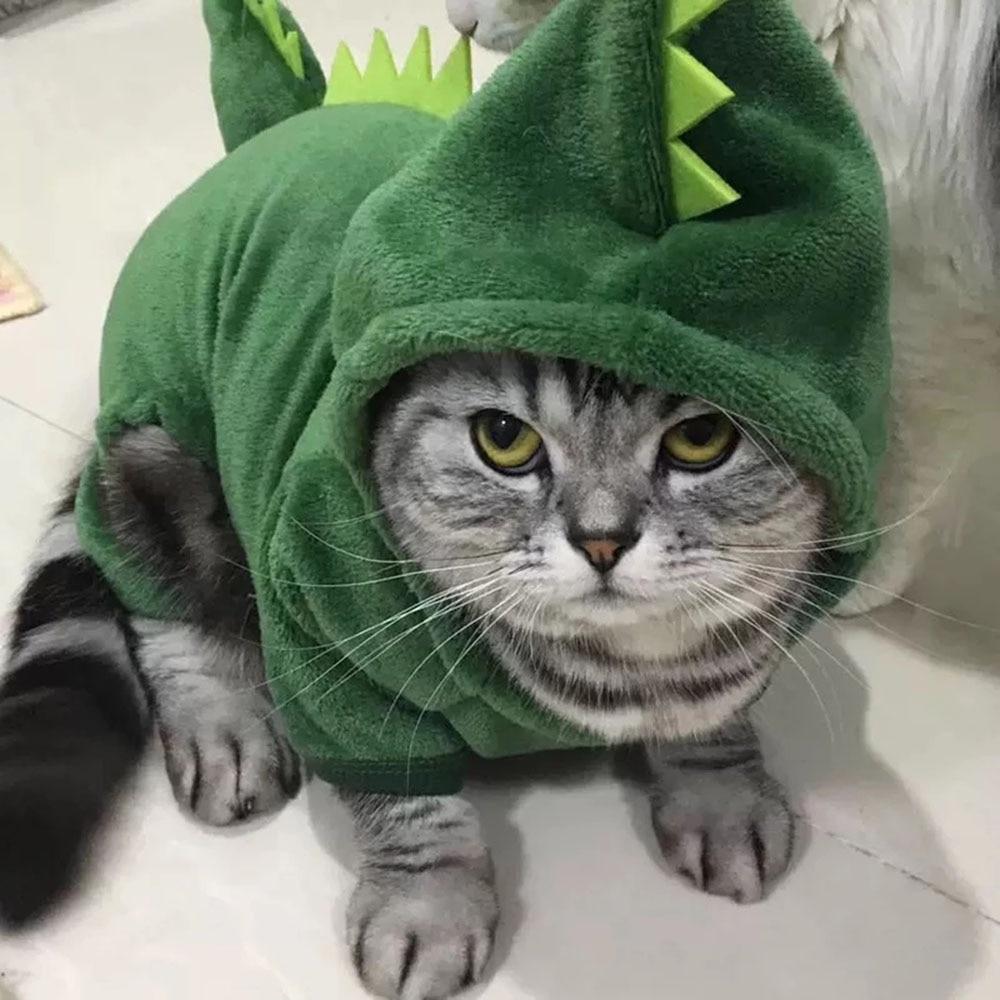 Dinosaur Hoodies For Cat Dog