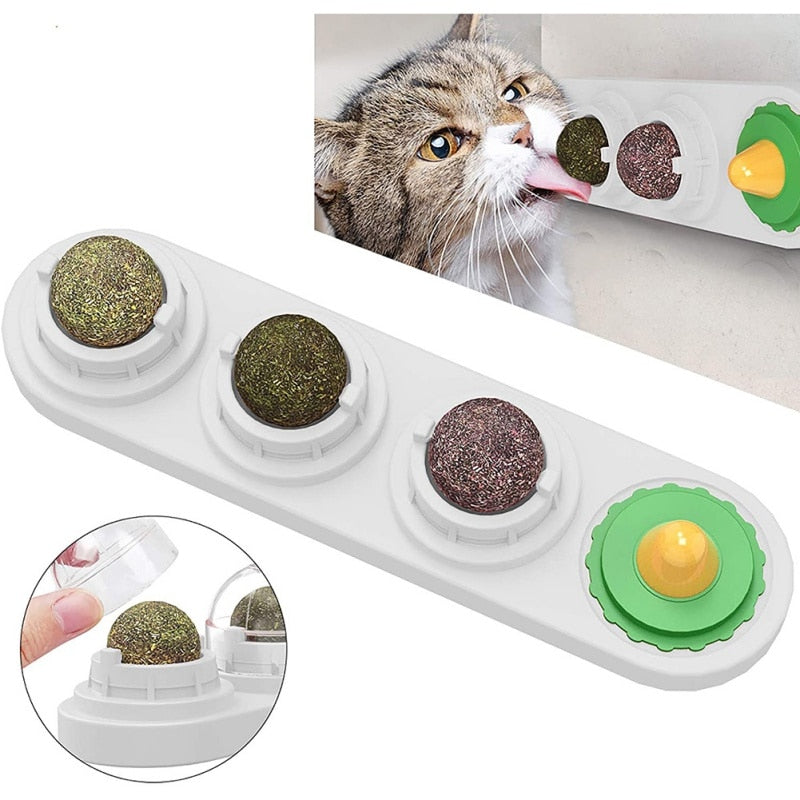 Catnip ball Toy For Cats