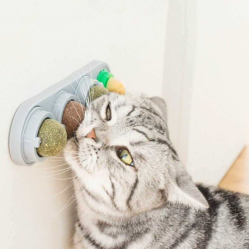 Catnip Balls,Cat Toys For Indoor Cats