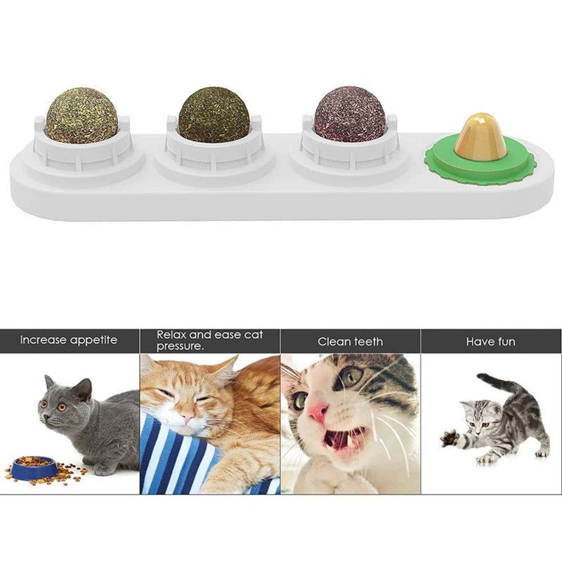 Catnip ball Toy For Cats