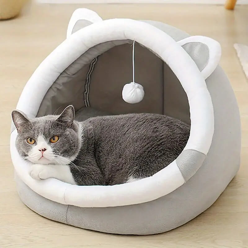 Cozy Cartoon Cave Pet Bed