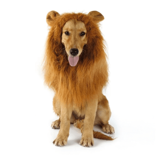 Dog Cosplay Lion Decoration
