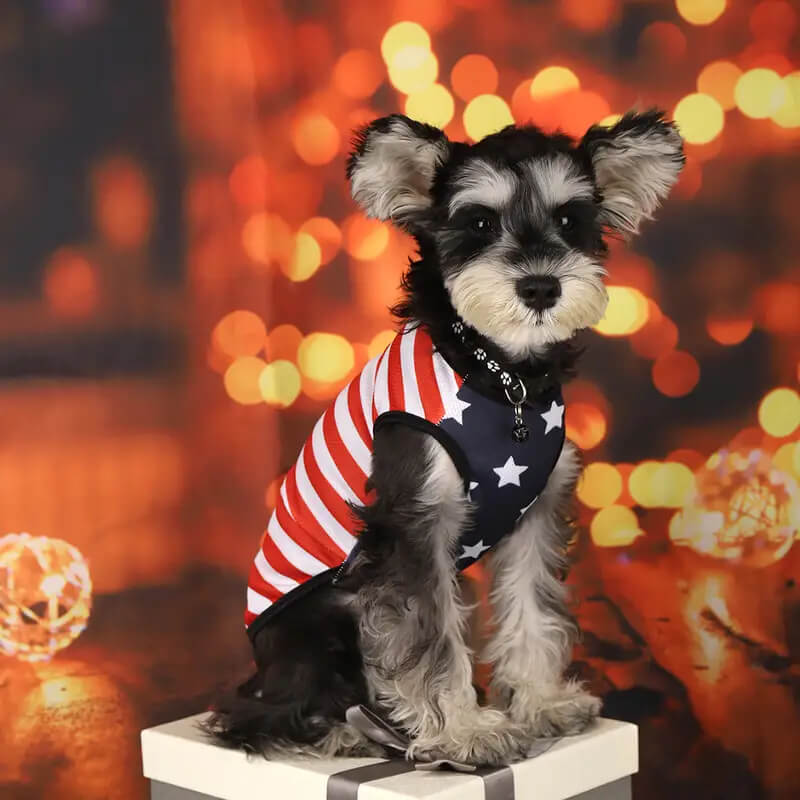 Independence Day Printed Stars and Stripes Pet Vest