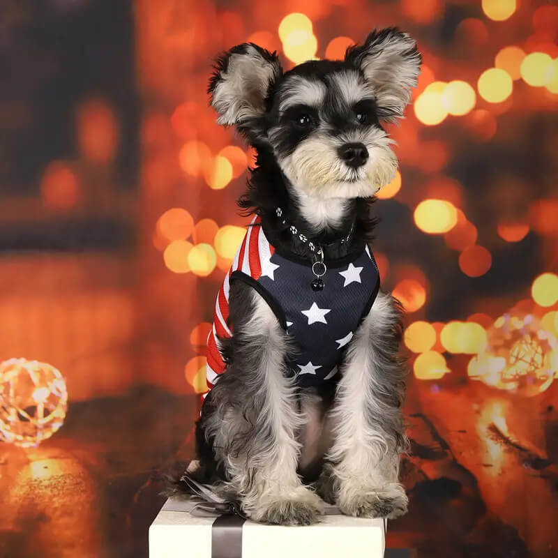 Independence Day Printed Stars and Stripes Pet Vest