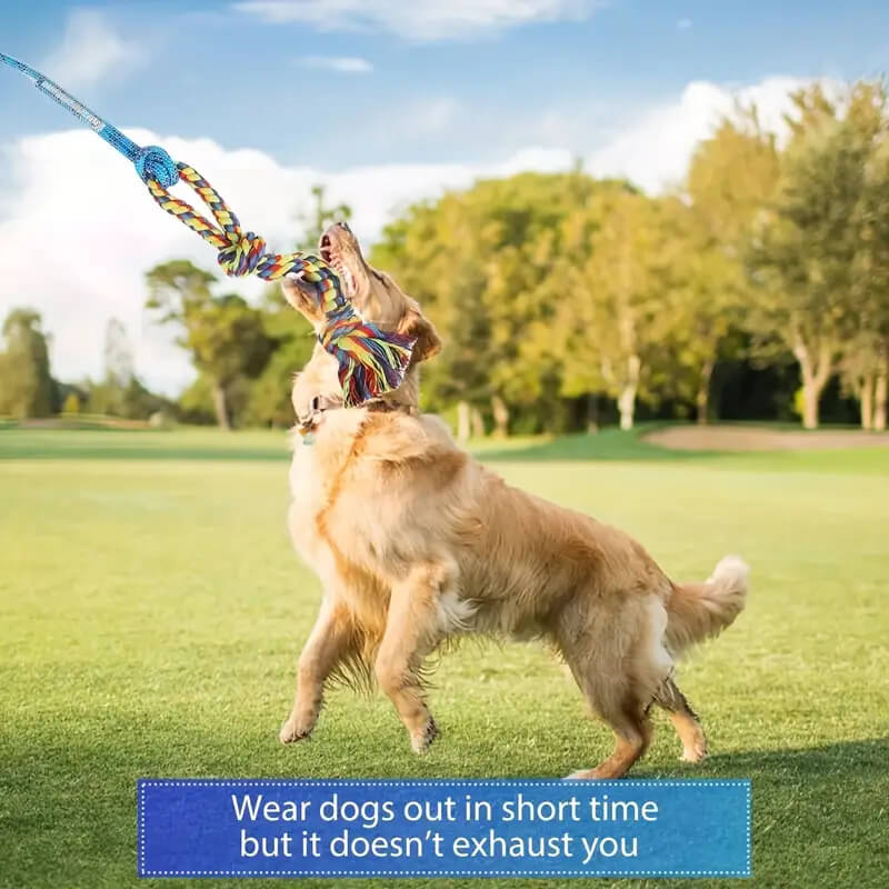 Interactive Flirt Pole for Dogs with Chewing Toy