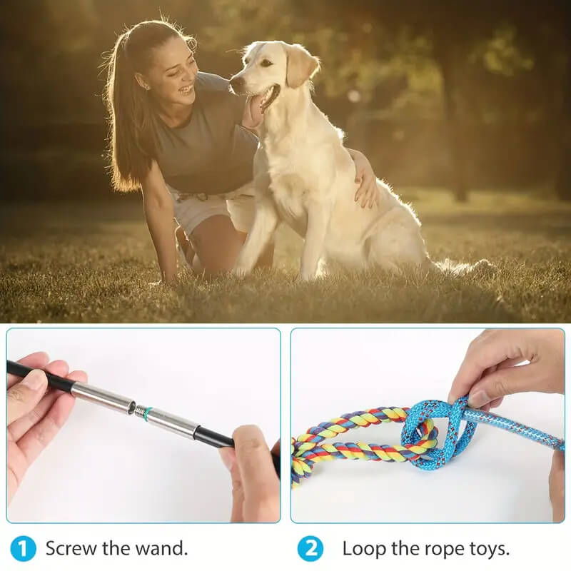 Interactive Flirt Pole for Dogs with Chewing Toy