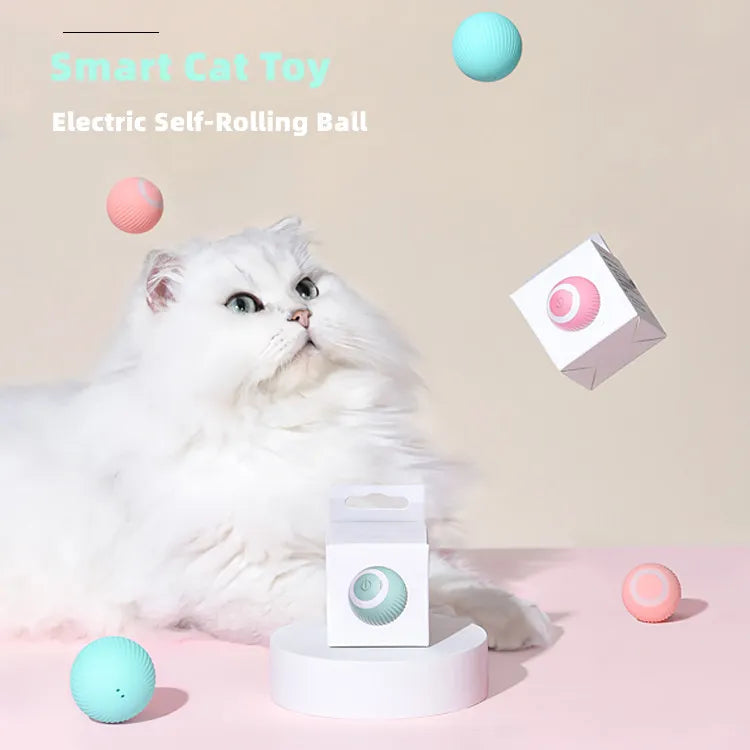 Cat Rolling Balls Toy Track