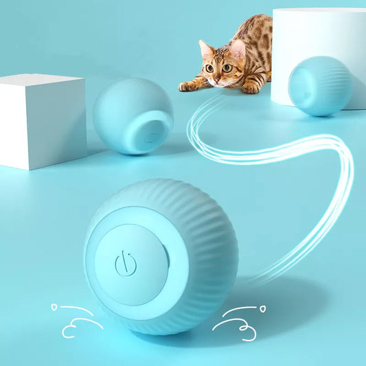 Cat Rolling Balls Toy Track