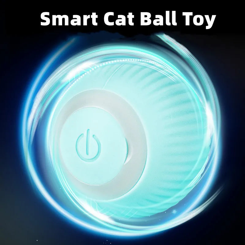 Cat Rolling Balls Toy Track