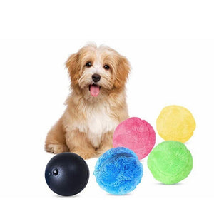 Magic Roller Ball Dog Toy