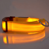 Usb Charging Glowing Led Adjustable Dog Collar
