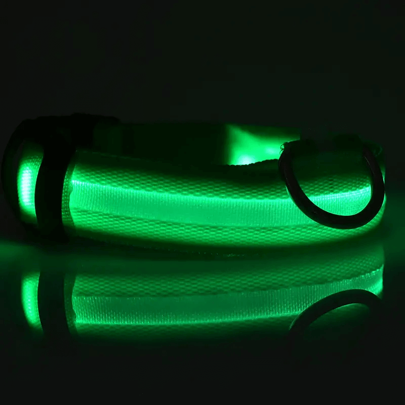 led dog collar