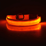 Usb Charging Glowing Led Adjustable Dog Collar