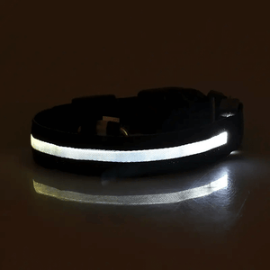Usb Charging Glowing Led Adjustable Dog Collar
