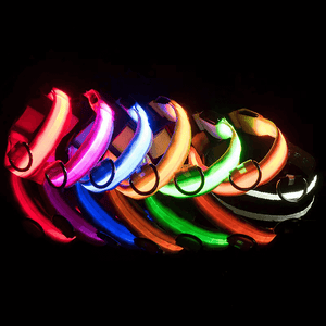 Usb Charging Glowing Led Adjustable Dog Collar