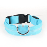 Usb Charging Glowing Led Adjustable Dog Collar
