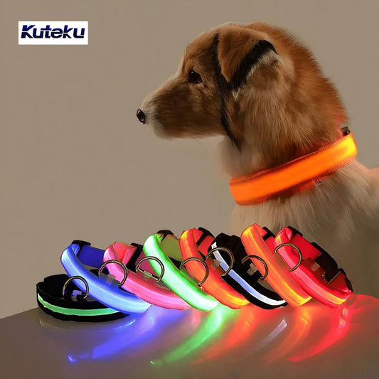 Kuteku Usb Charging Glowing Led Adjustable Dog Collar