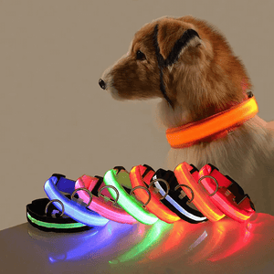 Usb Charging Glowing Led Adjustable Dog Collar