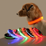 Usb Charging Glowing Led Adjustable Dog Collar