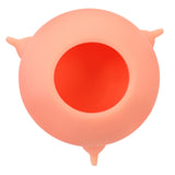 Silicone Simulation Nipples Pet Feeder
