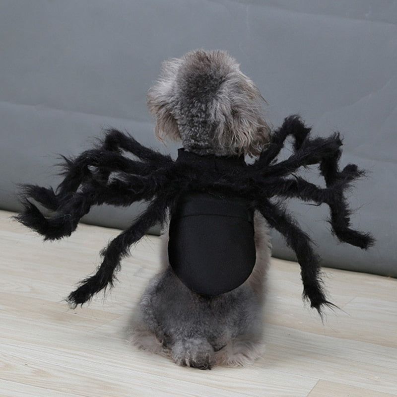 Halloween Cosplay Spider Costume for Pet