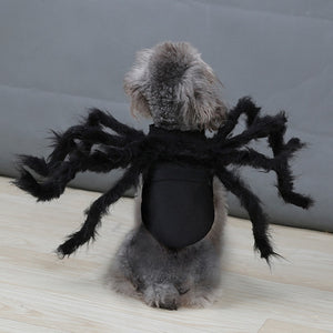 Halloween Cosplay Spider Costume for Pet