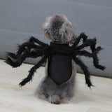 Halloween Cosplay Spider Costume for Pet