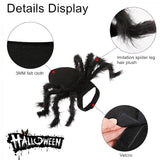 Halloween Cosplay Spider Costume for Pet