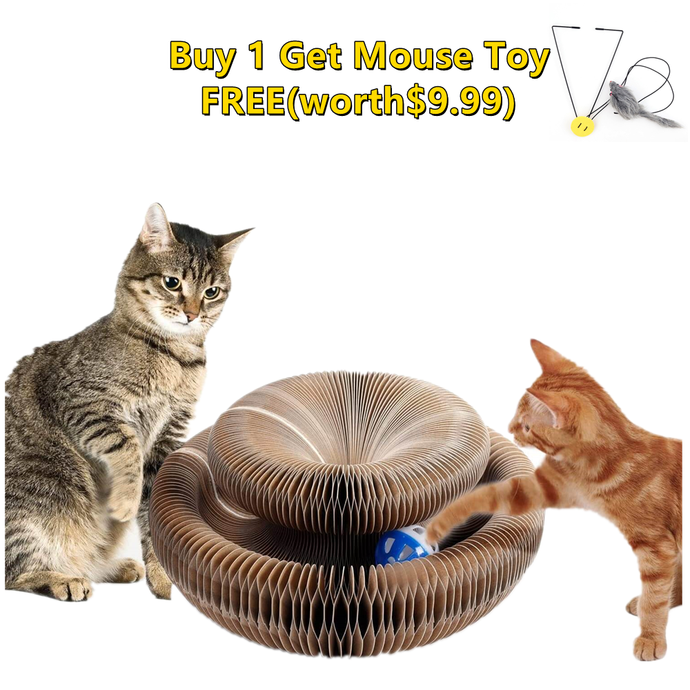 Cat Toys,Magic Organ Petfusion Cat Scratcher Board