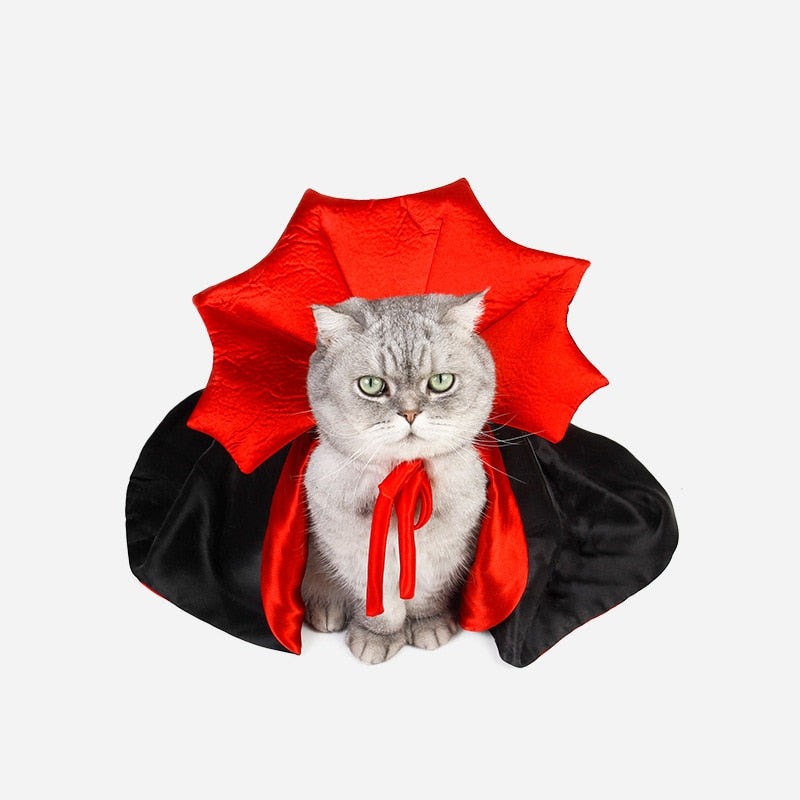 Cute Halloween Pet Costumes Vampire Cloak