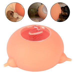 Silicone Simulation Nipples Pet Feeder
