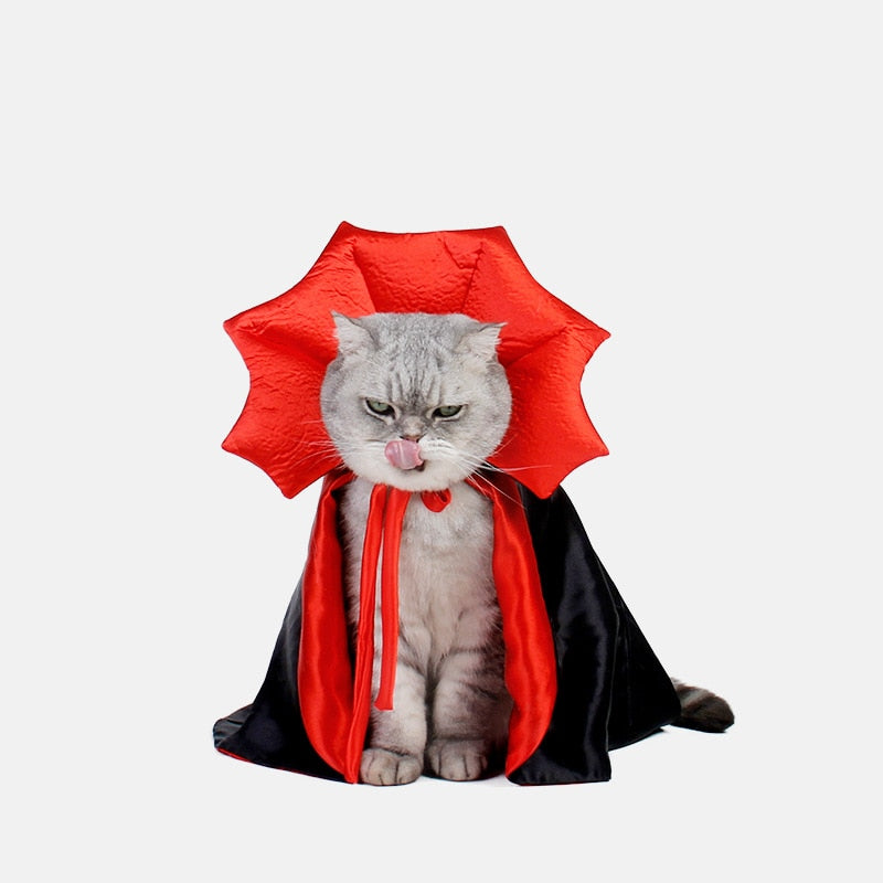 Cute Halloween Pet Costumes Vampire Cloak