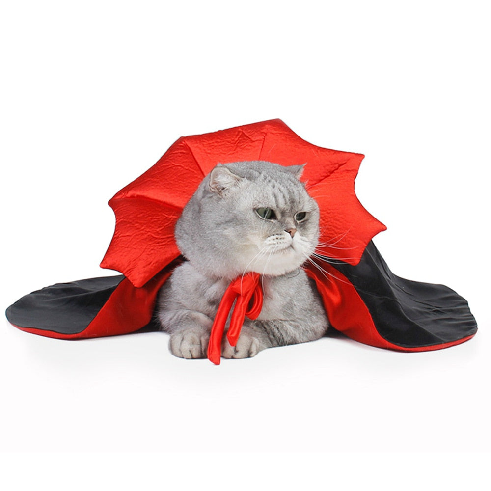 Cute Halloween Pet Costumes Vampire Cloak