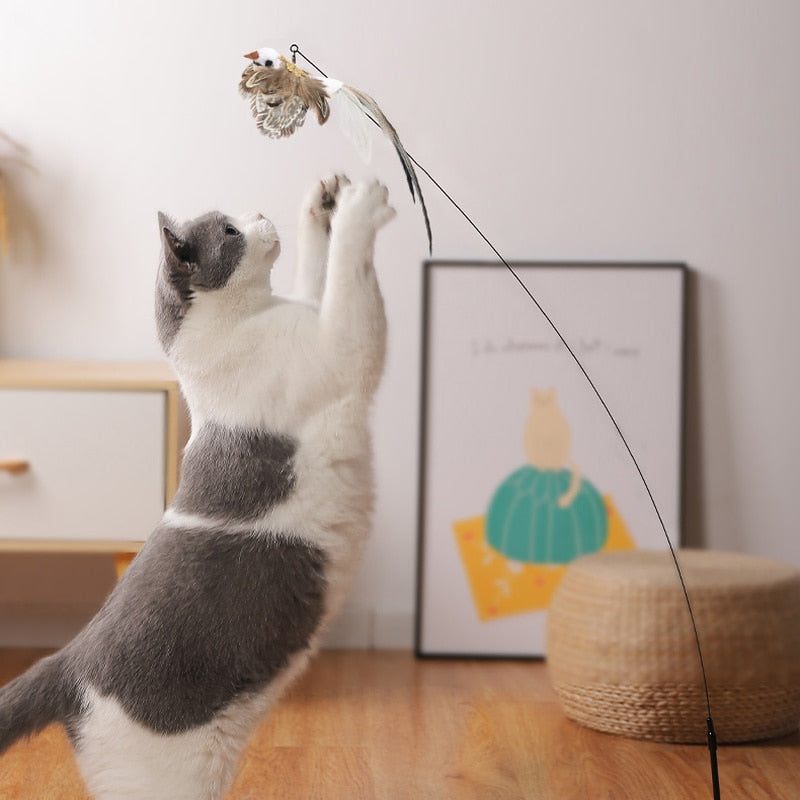 Simulation Bird Feather Interactive Wand Cat Toy