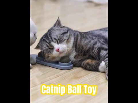 Catnip Balls,Cat Toys For Indoor Cats