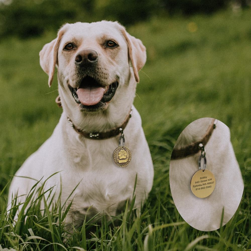 Custom Stamped Brass Dog Collar Name Plate ID Tag