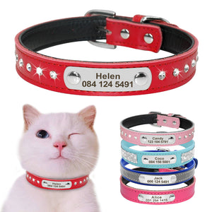 Custom Leather Cat Collar