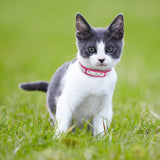 Custom Leather Cat Collar
