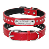Custom Leather Cat Collar