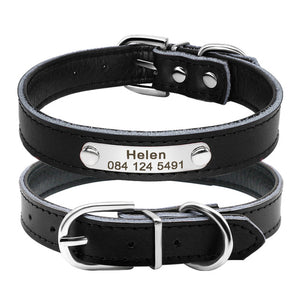 Custom Leather Cat Collar