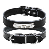 Custom Leather Cat Collar
